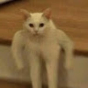 Meet your Posher, Aryel